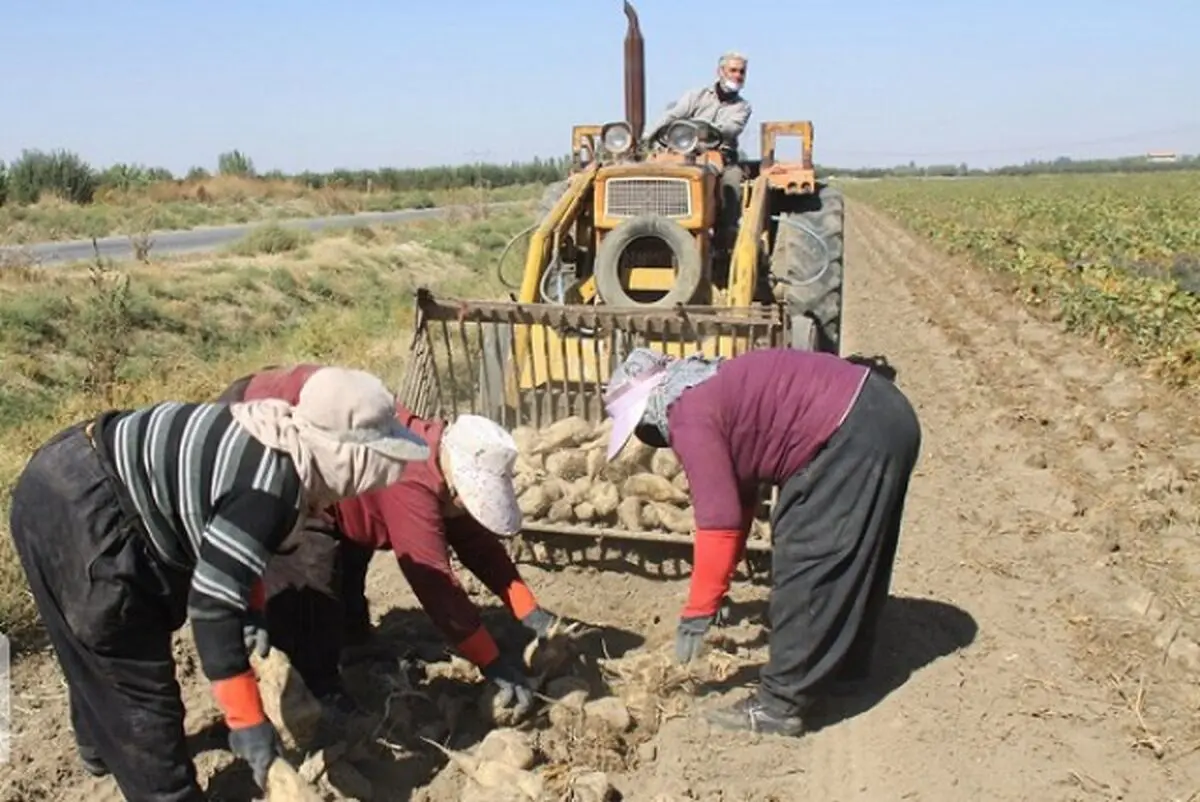 کشت ۳۰۰۰ هکتار نیشکر در اراضی و جذب ۱۵۰۰ نفر علاوه بر پرسنل موجود