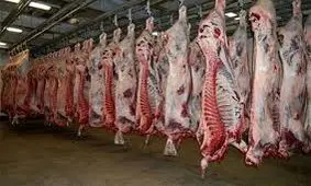 ۷۸ تن گوشت قرمز در مه‌ولات خراسان رضوی تولید شد