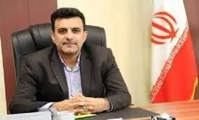 کاشت ۵۰۰ هزار اصله نهال صنوبر در پارک جنگلی شوراب