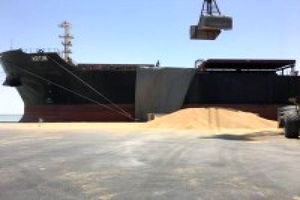 ارسال نخستین محموله گندم صادراتی ایران به عمان