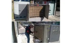 قطع کردن تلفن هزار گلستانی در یک شب/ سارقان دستگیر شدند