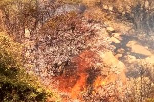 مهار آتش سوزی جنگل‌ها و مراتع کوه نور چرام بعد از ۶ شبانه روز