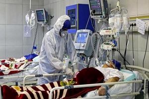 فوت ۳۳۵ بیمار کووید۱۹ در شبانه روز گذشته
