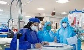 ثبت ۳۱۲ مورد مثبت سرپایی و ۶ فوتی در زنجان