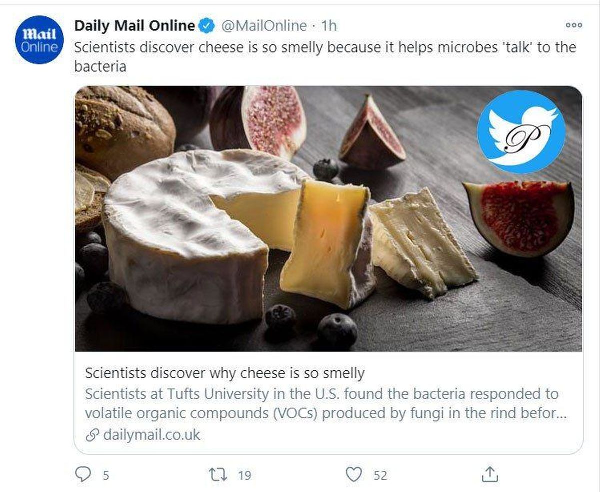 محققان دلیل بدبو بودن پنیر را کشف کردند