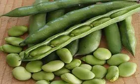فواید و مضرات محبوب‌ترین حبوبات ایرانی/ باقلا برای چه افرادی مناسب نیست؟