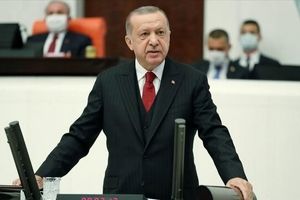 اردوغان بار دیگر به ماکرون گفت تست سلامت عقل بدهد!