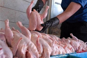 قیمت مصوب مرغ گرم در زنجان