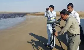 آغاز پایش آنفلوانزای فوق حاد پرندگان در شهرستان کنارک