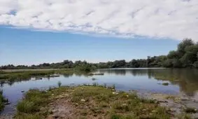عامل کشتار گسترده ماهیان پارک ملی دز دستگیر شد
