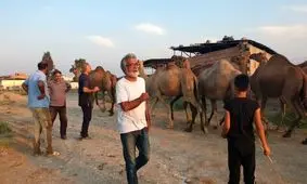 خبر و تصاویر جدید از سریال بهروز افخمی