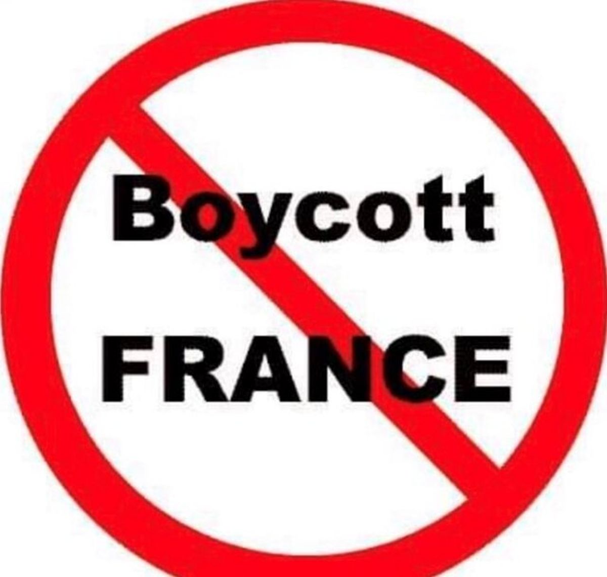 ضرر ۲۲ میلیارد دلاری فرانسه از تحریم کالاهایش توسط کشورهای عربی