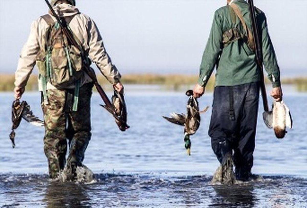صدور مجوز شکار پرندگان در تالاب انزلی ممنوع شد