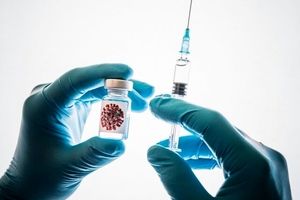 سلاخی کوسه‌ها برای ساختن واکسن کرونا