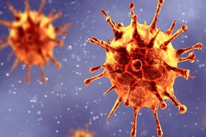کروناویروس امسال 3 برابر آنلفوانزا و ذات الریه قربانی گرفته است
