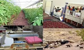 برنامه توسعه اشتغالزایی ۱۳۵۰ روستای استان گیلان تهیه می‌شود