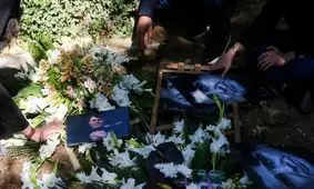 طراحی مزار و سردیس استاد شجریان چگونه خواهد بود؟