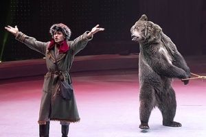 حمله مرگبار خرس به نظافتچی سیرک