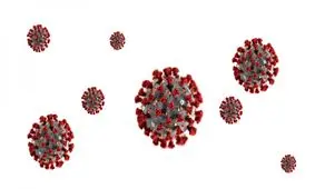 اولین تصویر با وضوح بالا از ویروس کرونا