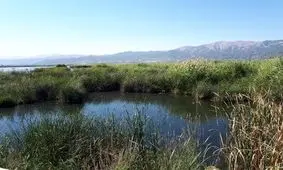 تالاب‌های لرستان اکوسیستمی حساس و شکننده