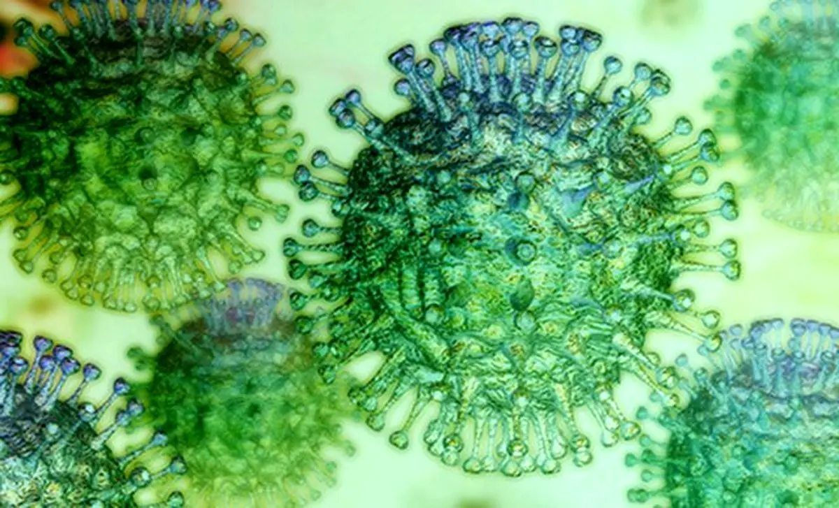 آیا سلول‌های ایمنی با کرونا همدست شده‌اند؟