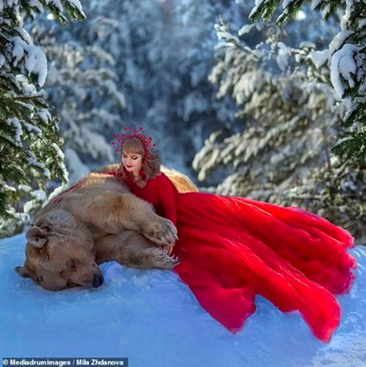 تصاویری دیدنی از خرسی که مدل شد