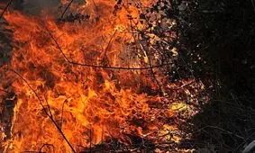 مهار آتش‌سوزی در منطقه "پیروزگ" شهرستان بویراحمد