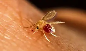 سالک، زخمی تکرارشونده بر جغرافیای دامغان