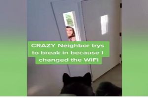 تهدید به کشتن سگ زن همسایه برای گرفتن رمز وای فای/ ویدئو
