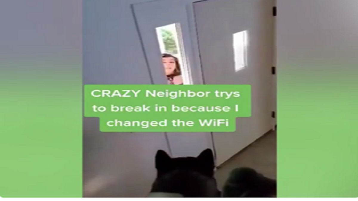 تهدید به کشتن سگ زن همسایه برای گرفتن رمز وای فای/ ویدئو