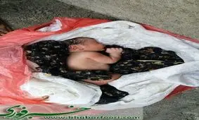 وقتی چند کارگر ساختمانی در جزیره هرمز بسته‌ای با محتوای عجیب پیدا می‌کنند