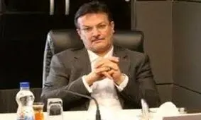 فیلمی از لحظه ورود مدیرعامل فراری بانک سرمایه به فرودگاه تهران