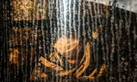 نکات مهم استفاده از ماسک در فصول سرد و بارانی