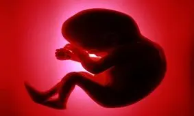 جنین قابلیت تشخیص چهره شما را دارد