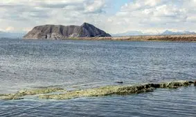 کاهش ۴ سانتی متری سطح تراز دریاچه ارومیه