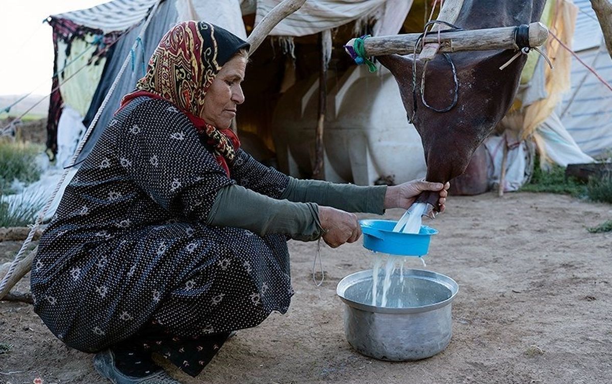 تولید سالانه ۳۵ هزار تن شیر و فرآوردههای لبنی توسط عشایر استان چهارمحال و بختیاری