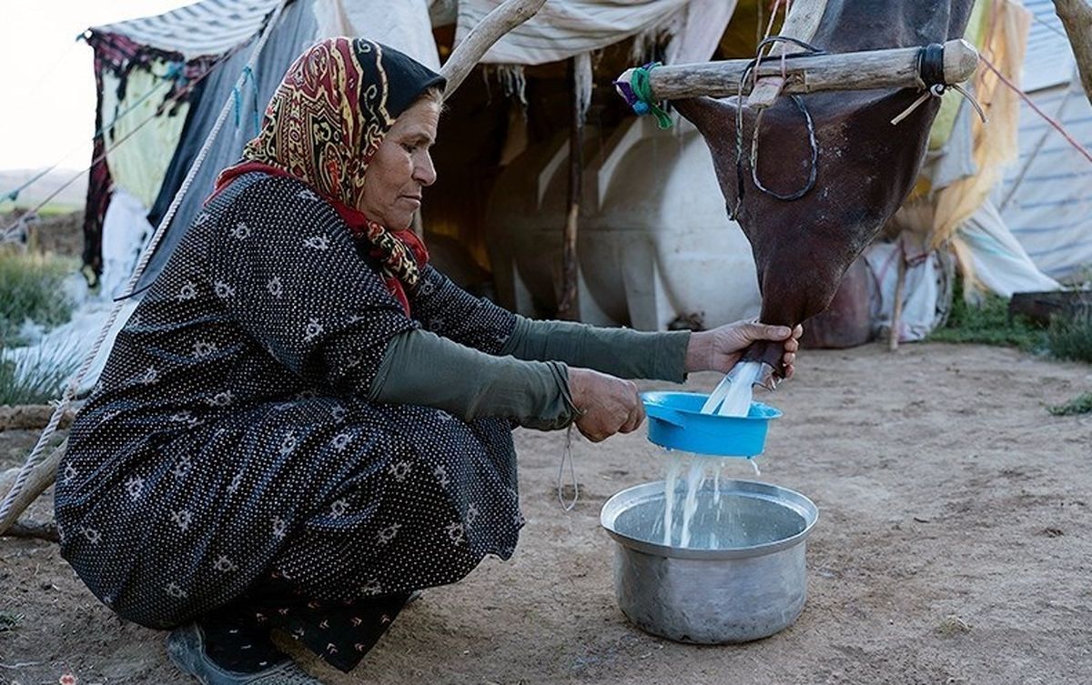 تولید سالانه ۳۵ هزار تن شیر و فرآورده‌های لبنی توسط عشایر استان چهارمحال و بختیاری