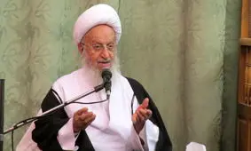 واکنش آیت‌الله مکارم‌شیرازی به موضع رئیس جمهور فرانسه