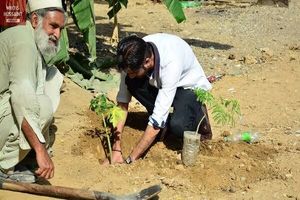 کاشت درخت در پاکستان با کمک کارگرهای بیکار شده‌ در دوران کرونا
