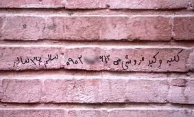 کلیه ۱۵۰، ‌نیمی از کبد ۲۰۰ میلیون تومان!