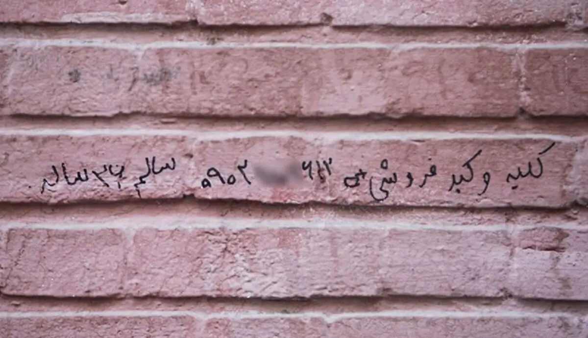 کلیه ۱۵۰، ‌نیمی از کبد ۲۰۰ میلیون تومان!