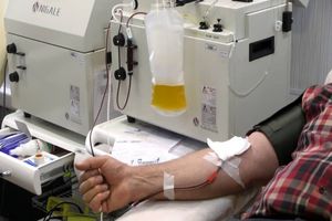 نیاز به تمام گروه‌های خونی داریم/ اهدای پلاسما ۲ درصد بهبودیافتگان کرونا