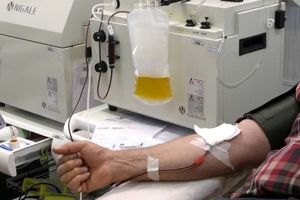 نیاز به تمام گروه‌های خونی داریم/ اهدای پلاسما ۲ درصد بهبودیافتگان کرونا
