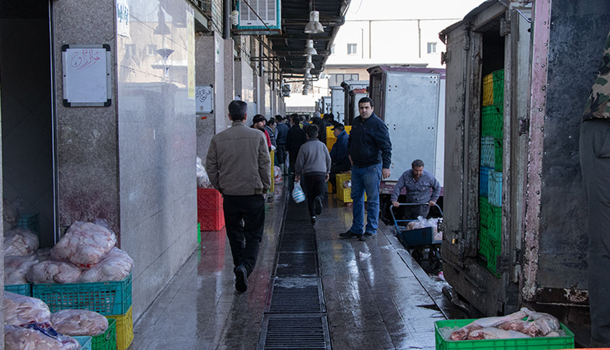 رونق بازار اسکلت مرغ، گاو و گوسفند در مغازه‌های پایتخت