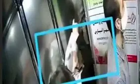 اقدام شیطانی زن تهرانی در آسانسور بین 2 مرد/ ویدئو