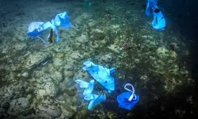 کرونا و فاجعه زیست محیطی که در راه است