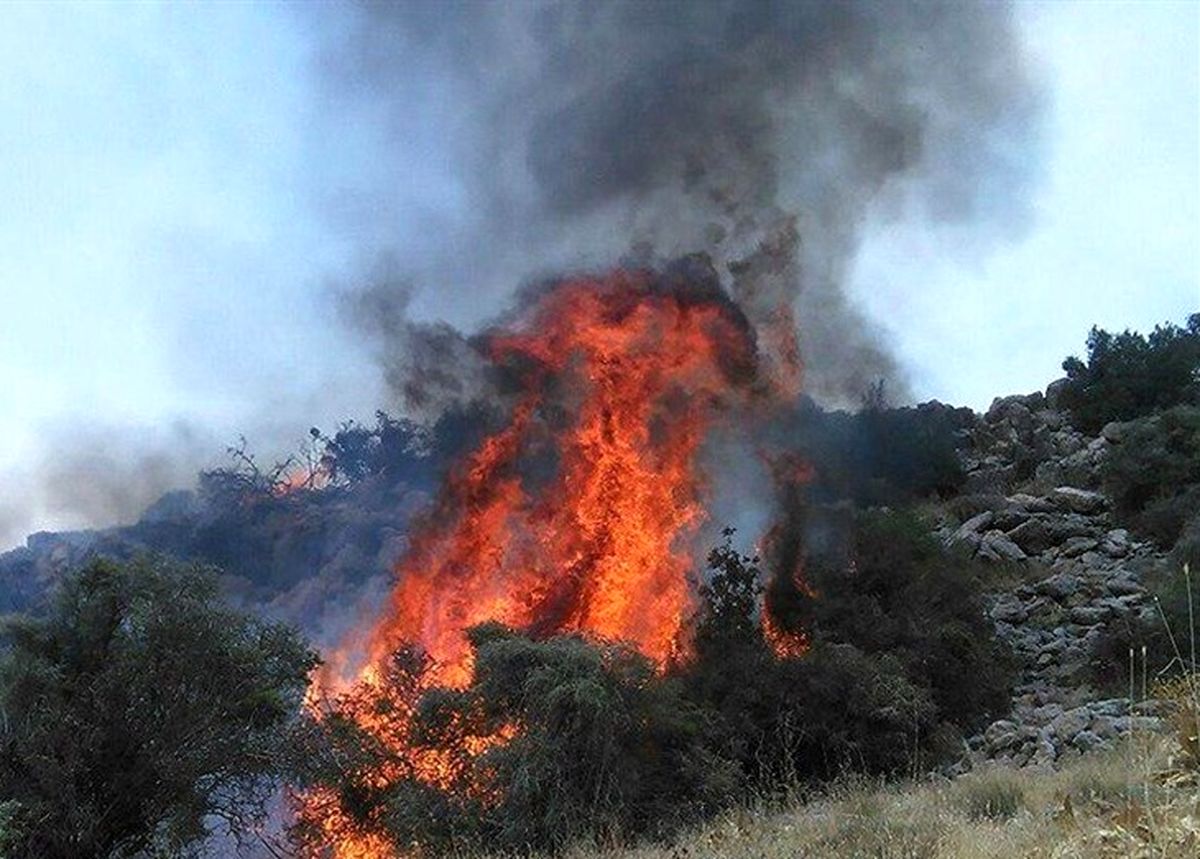 نیروهای امدادی از ۴ شهرستان به جنگل‌های " توسکستان" اعزام شدند/ آتش‌سوزی درحال پیشروی