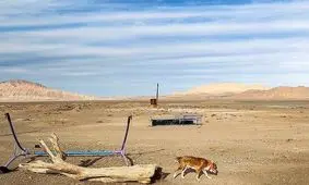 ۴۰ روز بدون باران در ۲۹ نقطه از استان فارس/ سال آبی جدید حکایت از خشکی دارد