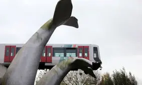 "دُم نهنگ" جان لوکوموتیوران هلندی را نجات داد