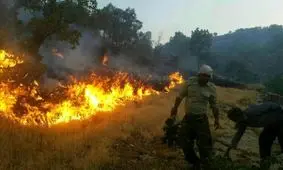 آتش سوزی منطقه بیضا یک میلیارد تومان خسارت داشت